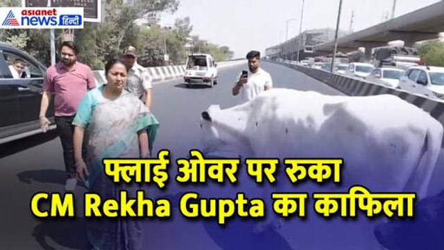 फ्लाई ओवर पर गाय का झुंड़ देख CM Rekha Gupta ने रुकवाया काफिला और फिर...