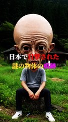 日本で目撃された 謎の物体の痕跡0326