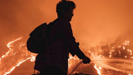 « Les pires feux de forêt de l'histoire du pays » continuent de s'abattre sur la Corée du Sud