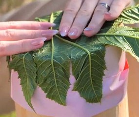 Master the Wild! Expert Hacks to Elevate Your Camping Game!