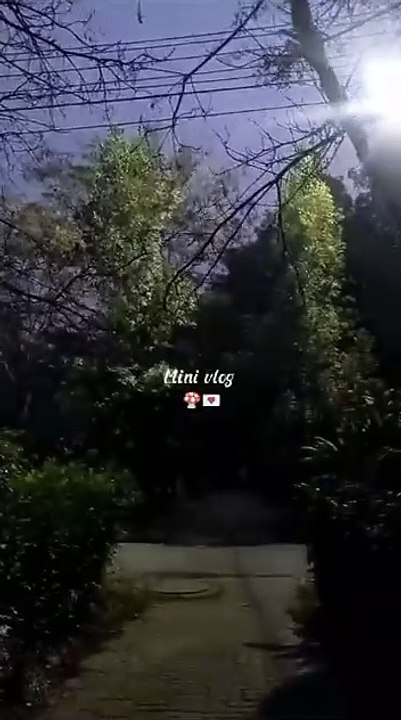 Daily Vlog