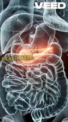 Big Data in Healthcare: How Data Science is Saving Lives