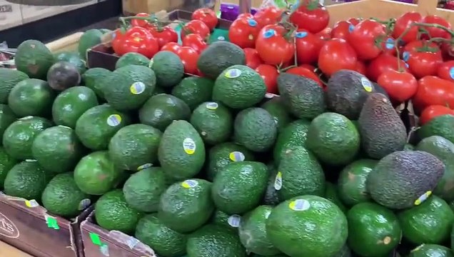 寿司师傅教大家如何选择好的牛油果🥑 Sushi chef tell you how to pick good avocados! #牛油果 #酪梨 #avocado