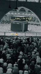 New video || Islamic Content||Naat Sharif#viralvideo#shortsfeed