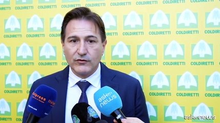 Acqua, Conti (Almaviva): gestione integrata con digitalizzazione