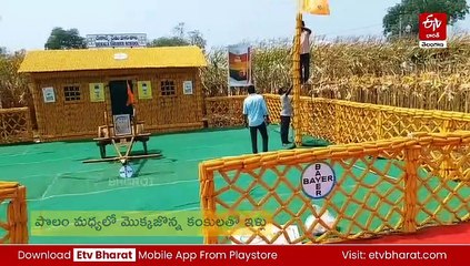 మొక్కజొన్న పొత్తులతో ఇంటి నిర్మాణం - ఎందుకో తెలిస్తే ఆశ్చర్యపోతారు!