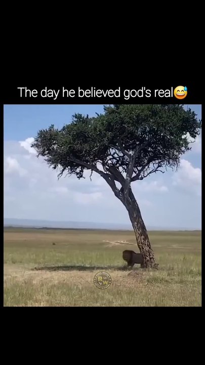 The day he believes God's Real 😂😇