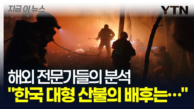인간 스스로가 초래한 재앙 한국 산불 지켜본 해외 전문가들의 경고 [지금이뉴스] / YTN