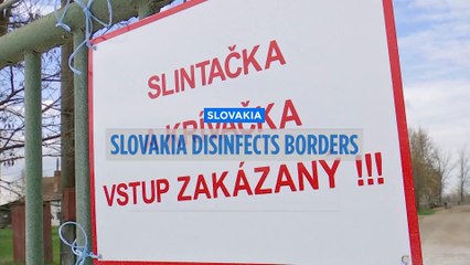 Slovakia declares state of emergency over foot and mouth disease cases