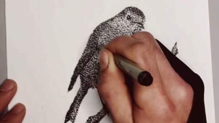 Stunning pointillism drawing of a Gray Catbird crafted with 21,708 precise dots
