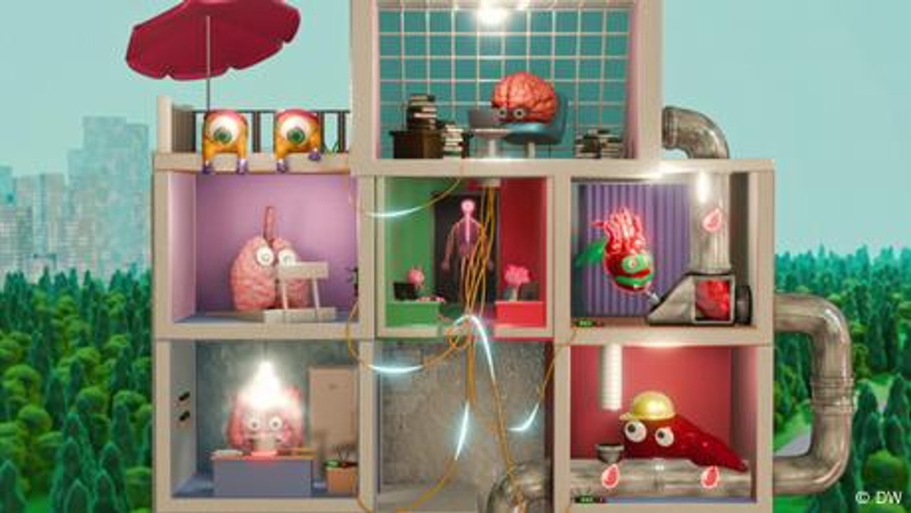 Wie unsere Nerven funktionieren