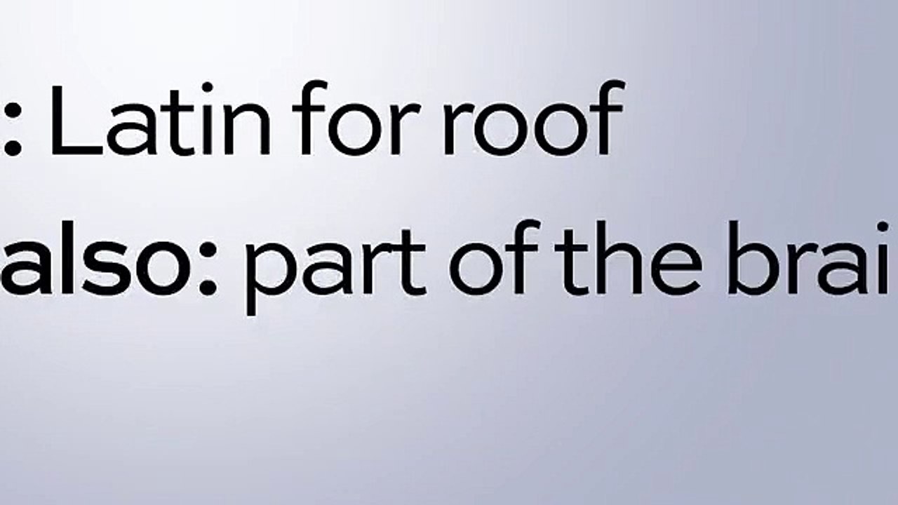 Commercial Roof Repair Experts | Quality Guaranteed