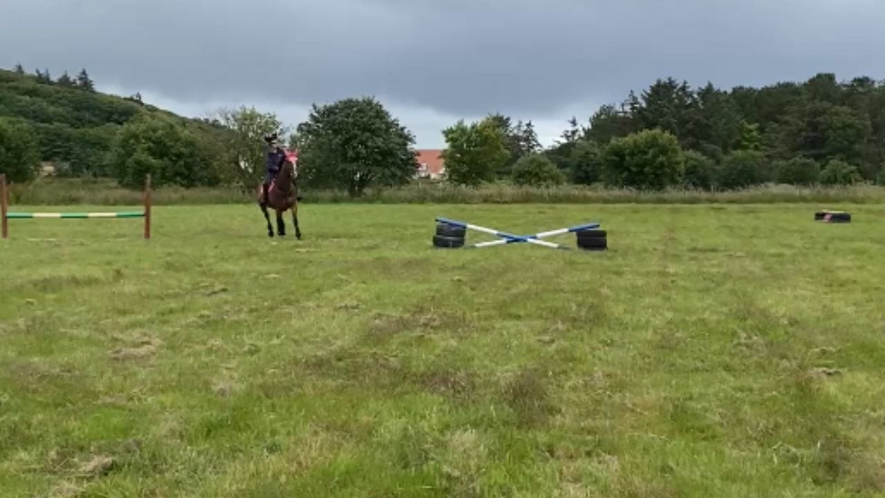 Rider falls straight into jump as horse abruptly stops before leaping