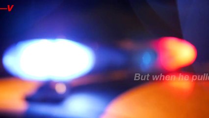 This Drunk Driving Suspect Tries to Switch Seats With His Dog After He Got Pulled Over