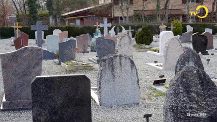 Sujet: Nouveau cimetière à Onex