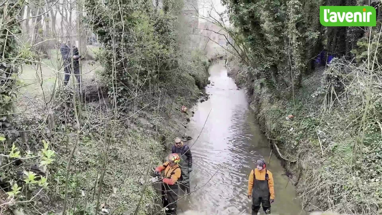 Les travaux d'entretien des cours d'eau battent leur plein à Frasnes