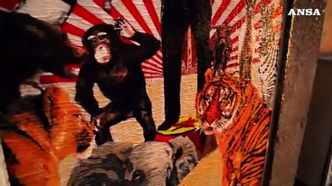 Stop agli animali nei circhi, Harry Greb torna sui muri di Roma
