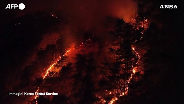 Brucia la Corea del Sud, gli incendi boschivi visti dall'alto
