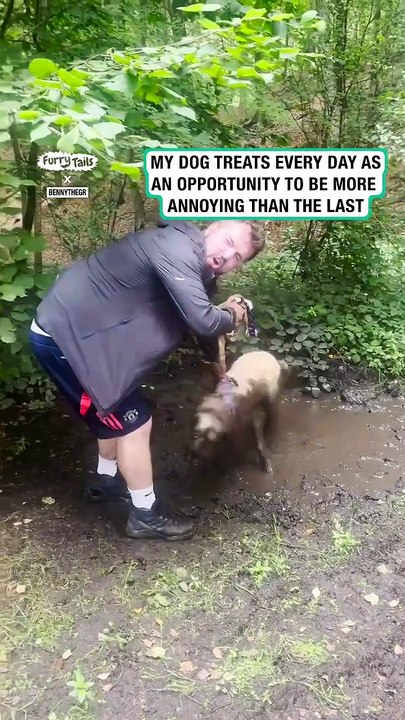 Lach dich schlapp mit Lustige Pfoten Ч. 10