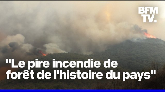 Corée du Sud: des incendies historiques font au moins 24 morts