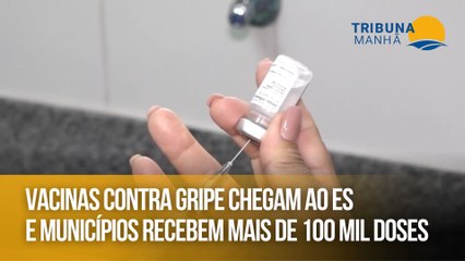 Vacinas contra gripe chegam ao ES e municípios recebem mais de 100 mil doses