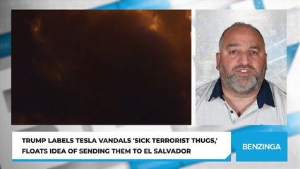 Trump Labels Tesla Vandals 'Sick Terrorist Thugs,' Floats Idea Of Sending Them To El Salvador