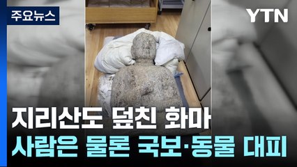 지리산도 덮친 화마...사람은 물론 국보·동물도 대피 / YTN