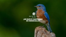 ¡Un nuevo aviario en Hermosillo! Un Edén Primaveral para las Aves, en el corazón vibrante de la ciudad.