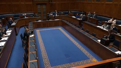 Liz Kimmins has said no budget decision has yet been taken on the long-awaited A2 Buncrana Road upgrade but the critical project must ‘tie in with the North West Transport Plan’.