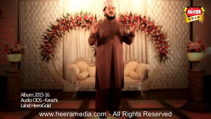 Zulfiqar Ali Hussaini - Dar e Nabi Per - Official Video