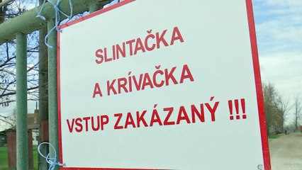 Lezártak több átkelőt a magyar-szlovák határon a száj- és körömfájás terjedése miatt
