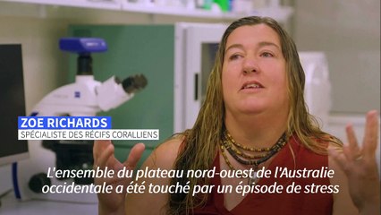 Australie: après la Grande barrière, les coraux de l'ouest également dégradés par la chaleur