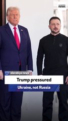 Former US ambassador: Trump pressured Ukraine