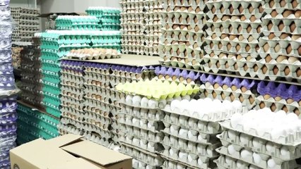 Yumurta fiyatları neden yükseldi?