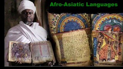 Trey Knowles - Afro Asiatic Languages
