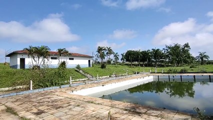 LUGAR ABANDONADO BONITO DEMAIS, PORÉM LATIDOS DE CACHORRO NOS DEIXARAM EM ALERTA