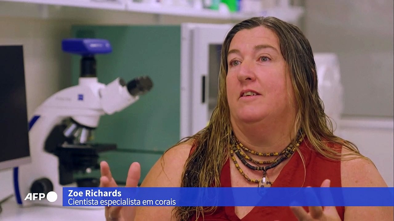 Corais sofrem branqueamento recorde na Austrália