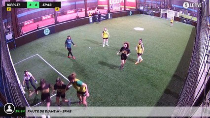 Faute de Diane M - Spab