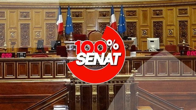 100% Sénat - Aides publiques aux entreprises : audition du PDG de TotalEnergies