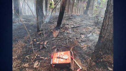 경기 용인 기흥구 아람산 화재...불 끄려던 등산객 화상 / YTN