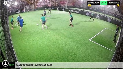 Faute de Elyes B - White And Case