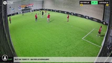 But de Terry F - Bayer Leverkusec