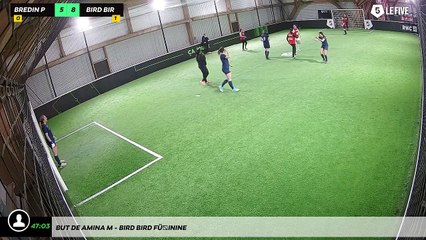 But de Amina M - Bird Bird Féminine