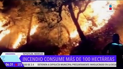 Incendio consume más de 100 hectáreas en Tepoztlán