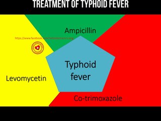 Treatment of typhoid fever #typhoidfever #typhoidtreatment