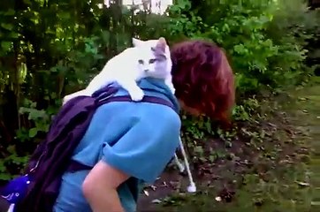 You don't choose your cat  Your cat chooses you!