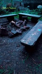 Nature is extremely beautiful...