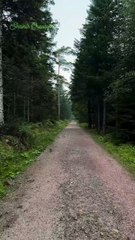 Nature is extremely beautiful...