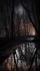 Nature is extremely beautiful...