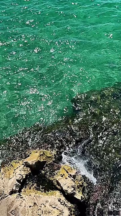 Faites confiance à une seule personne #motivation #conseils #citation #inspiration #success #proverbe #conseil